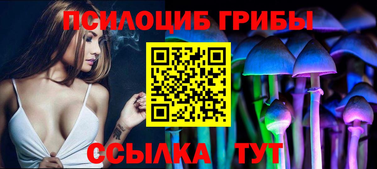 Псилоцибиновые грибы Cubensis Энгельс